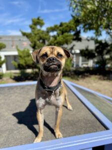 Gotta love that pout!