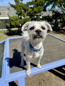 Reggie all cleaned up!