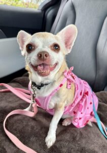 Her big smile, before her dental