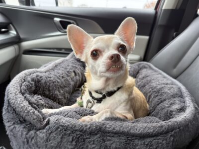 Little passenger princess!
